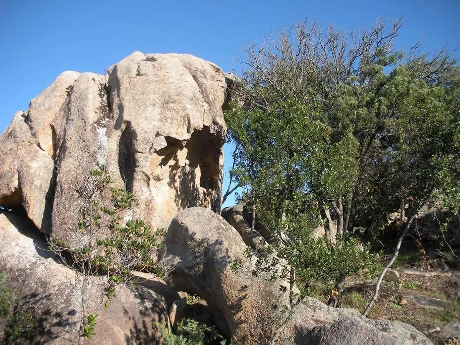 Villa Giulia Incastonata Tra Le Rocce أرتْساكينا